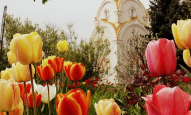 История ПГТУ часть 11