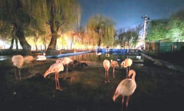 «Поговорим о культуре, истории, философии, религии». Под таким девизом прошел форум в г. Ростов-на-Дону.