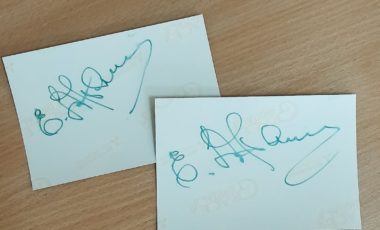 Приазовский государственный технический университет посетила с рабочим визитом депутат Государственной Думы, Заслуженная артистка РСФСР, киноактриса Елена Григорьевна Драпеко.