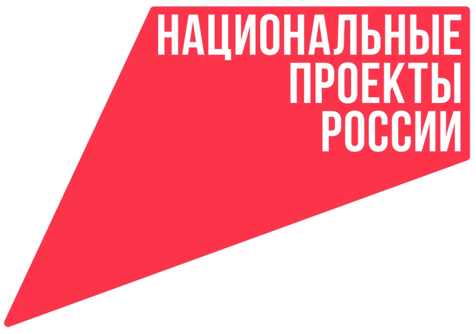 Национальные проекты Ро​ссии