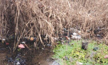 2_22-03-2025_09-53-19