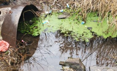 3_22-03-2025_09-53-19