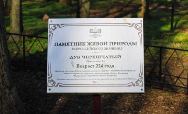 10_04-04-2025_11-03-51