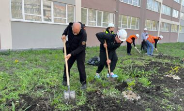 50_23-04-2025_20-04-33